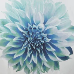 72"x72" Bridget Cotton Percale Shower Curtain -Bathroom Accessories Store GUEST 06f3d3c7 3e8d 4223 840f d455353e2d55